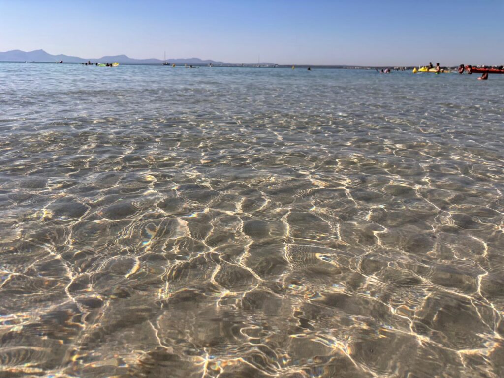 Alcudia Beach Water