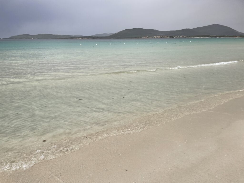 Maria Pia Beach Alghero with pine forest